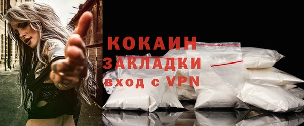 амф Няндома