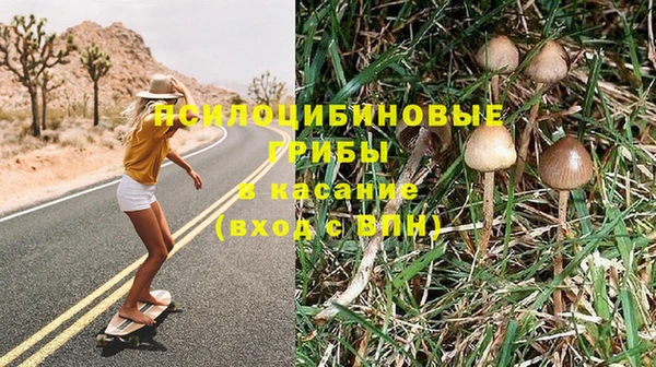 амф Няндома