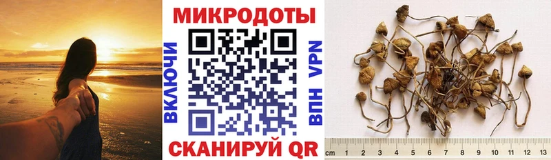 OMG вход  Нальчик  Галлюциногенные грибы Psilocybe  где купить  