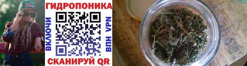 как найти закладки  Нальчик  Бошки Шишки Amnesia 